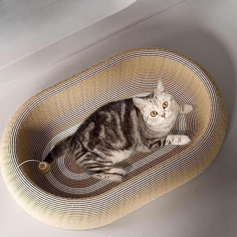 ZENITHMIND Griffoir pour Chat avec Jouet Interactif