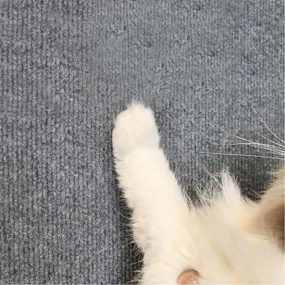 ZENITHMIND Tapis griffoir chat,tapis chat,griffoir chat,30 * 300cm