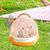 ZENITHMIND Cage de transport pour petits animaux