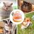 ZENITHMIND Cage de transport pour petits animaux