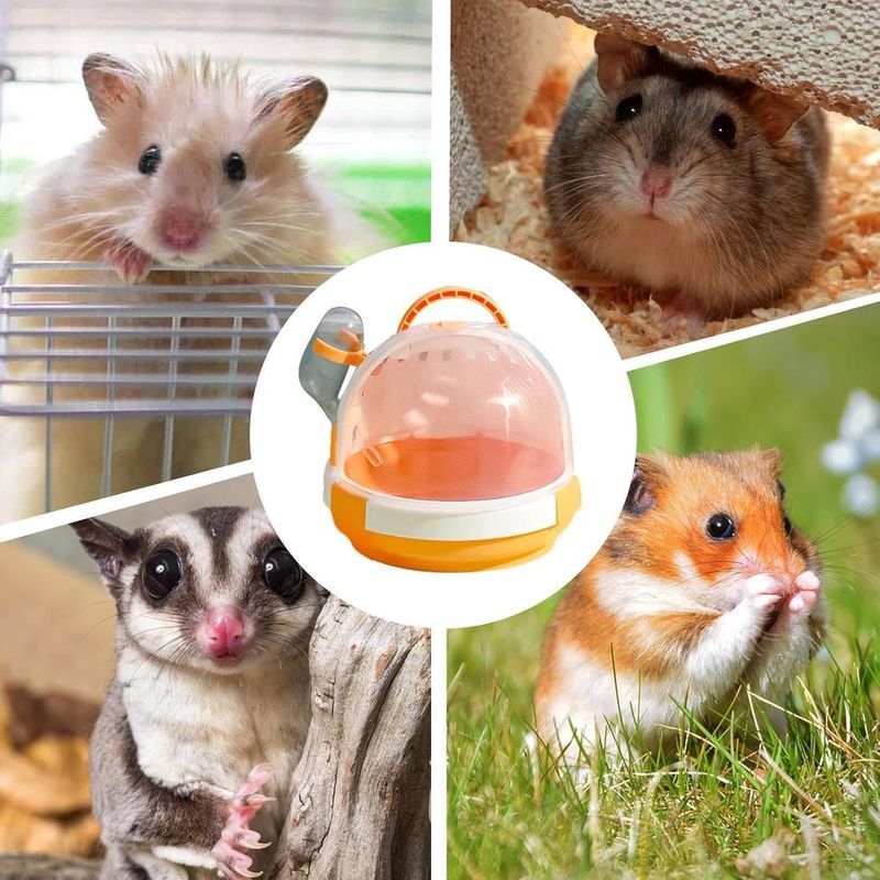 ZENITHMIND Cage de transport pour petits animaux
