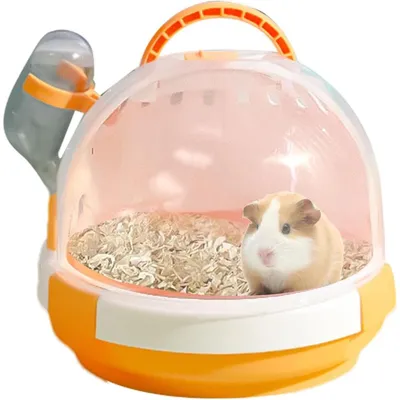 ZENITHMIND Cage de transport pour petits animaux