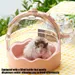 ZENITHMIND Cage de Transport pour Hamster rose