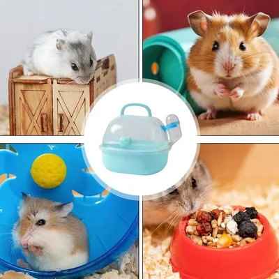 ZENITHMIND Cage de voyage portable pour hamster