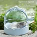 ZENITHMIND Cage de Transport pour Hamster bleu