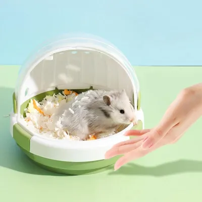 ZENITHMIND Cage de transport pour petits animaux