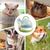 ZENITHMIND Cage de transport pour petits animaux