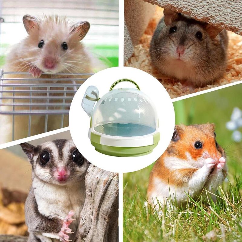 ZENITHMIND Cage de transport pour petits animaux