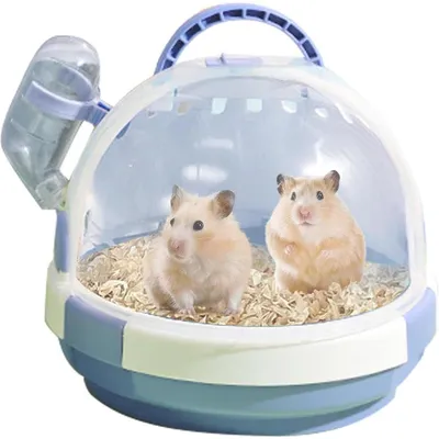 ZENITHMIND Cage de transport pour petits animaux