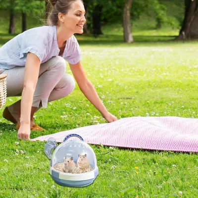 ZENITHMIND Cage de transport pour petits animaux