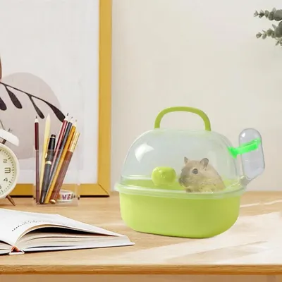 ZENITHMIND Cage de voyage portable pour hamster