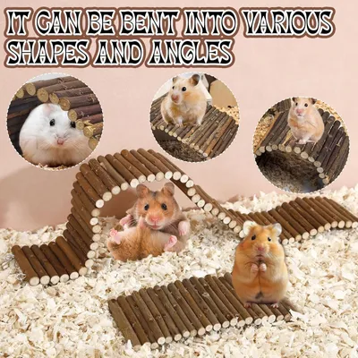 LovuPet 2 Pièces Pont D'éChelle De Hamster en Bois Jouet Hamster-20X10cm