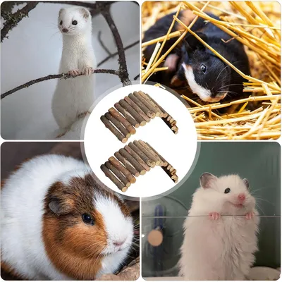 LovuPet 2 Pièces Pont D'éChelle De Hamster en Bois Jouet Hamster-20X10cm