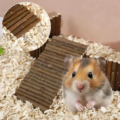 LovuPet 2 Pièces Pont D'éChelle De Hamster en Bois Jouet Hamster-20X10cm