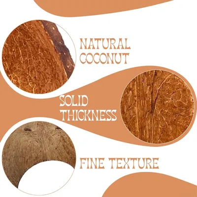 LovuPet 2 Pièces Pont D'éChelle De Hamster en Bois Jouet Hamster-20X10cm