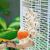 LovuPet Jouets Interactifs Pour Hamsters, Jouets D'Enrichissement