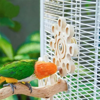 LovuPet Jouets Interactifs Pour Hamsters, Jouets D'Enrichissement