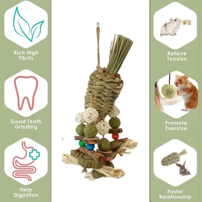 LovuPet Jouet à mâcher pour hamster à suspendre en forme de cage