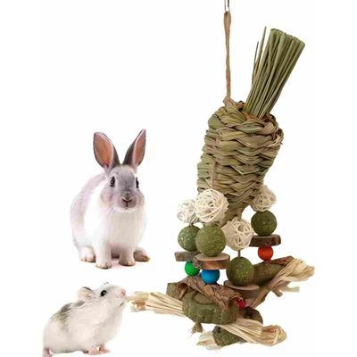 LovuPet Jouet à mâcher pour hamster à suspendre en forme de cage