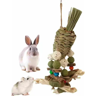LovuPet Jouet à mâcher pour hamster à suspendre en forme de cage