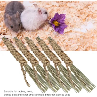 LovuPet Lot de 5 bâtonnets à mâcher en jonc de mer naturel