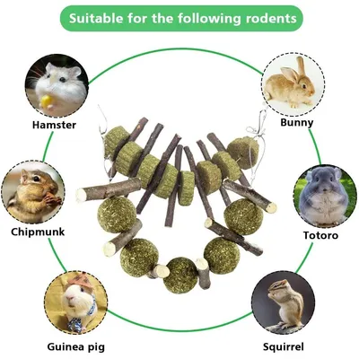 LovuPet Barley Jouets à mâcher naturels en Forme de Boules et de bâtons