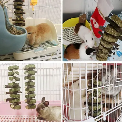 LovuPet Barley Jouets à mâcher naturels en Forme de Boules et de bâtons