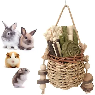 LovuPet Jouet à mâcher pour petits animaux de compagnie