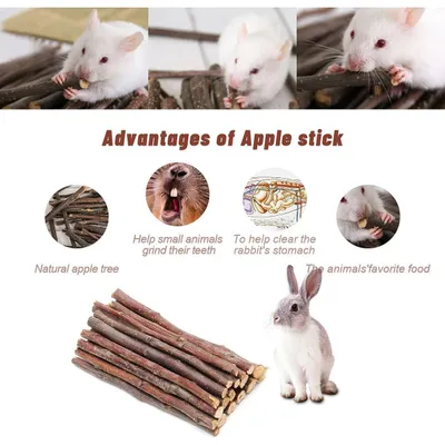 LovuPet Jouet à mâcher pour petits animaux de compagnie