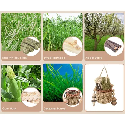 LovuPet Jouet à mâcher pour petits animaux de compagnie