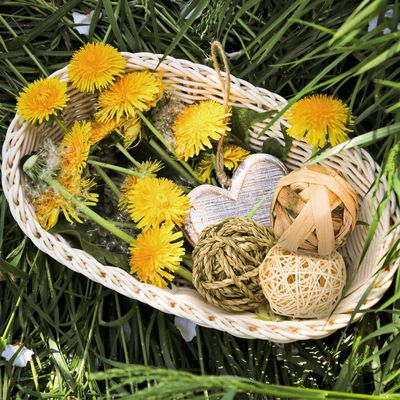 LovuPet 9 Pièces Jouets à Mâcher pour Petits Animaux,Balle en Rotin