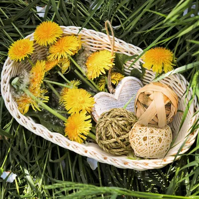 LovuPet 9 Pièces Jouets à Mâcher pour Petits Animaux,Balle en Rotin