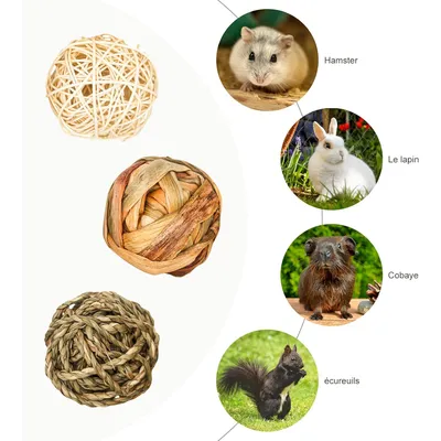 LovuPet 9 Pièces Jouets à Mâcher pour Petits Animaux,Balle en Rotin