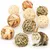 LovuPet 9 Pièces Jouets à Mâcher pour Petits Animaux,Balle en Rotin LovuPet 9 Pièces Jouets à Mâcher pour Petits Animaux,Balle en Rotin