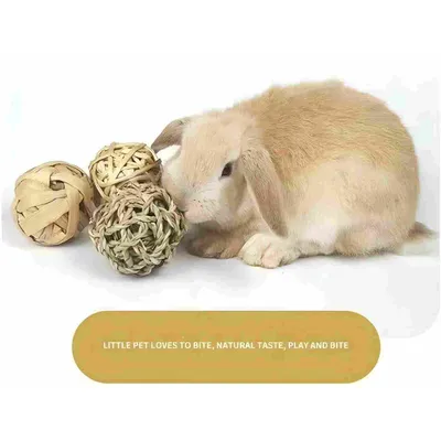 LovuPet Lot de 9 balles Jouets à Mâcher pour Petits Animaux