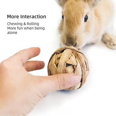 LovuPet Lot de 9 balles Jouets à Mâcher pour Petits Animaux