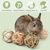 LovuPet Lot de 9 balles Jouets à Mâcher pour Petits Animaux