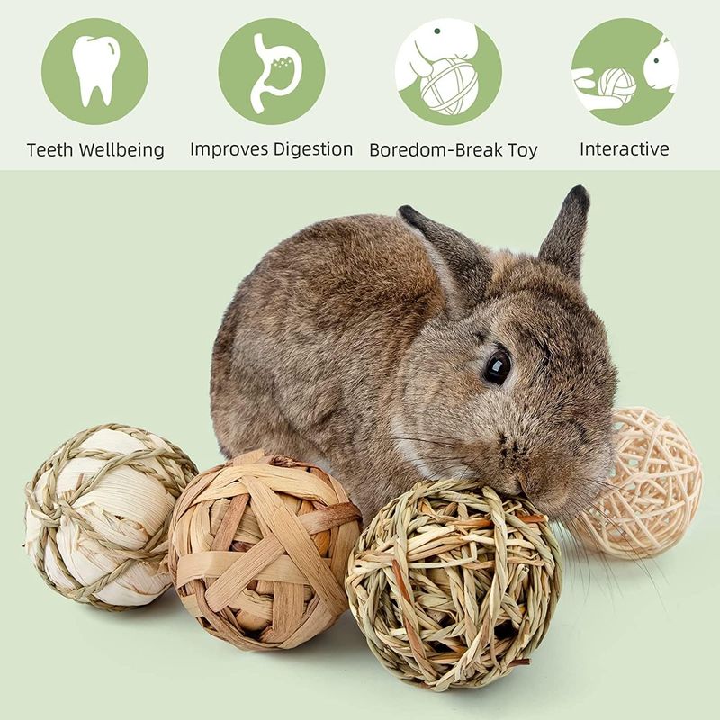 LovuPet Lot de 9 balles Jouets à Mâcher pour Petits Animaux