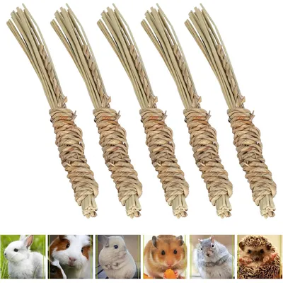 LovuPet Lot de 5 bâtonnets à mâcher en jonc de mer naturel