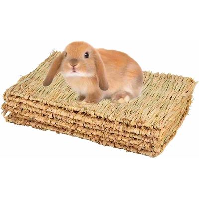 LovuPet 4 pièces Tapis d'herbe pour Les Lapins,Naturel tissé à la Main
