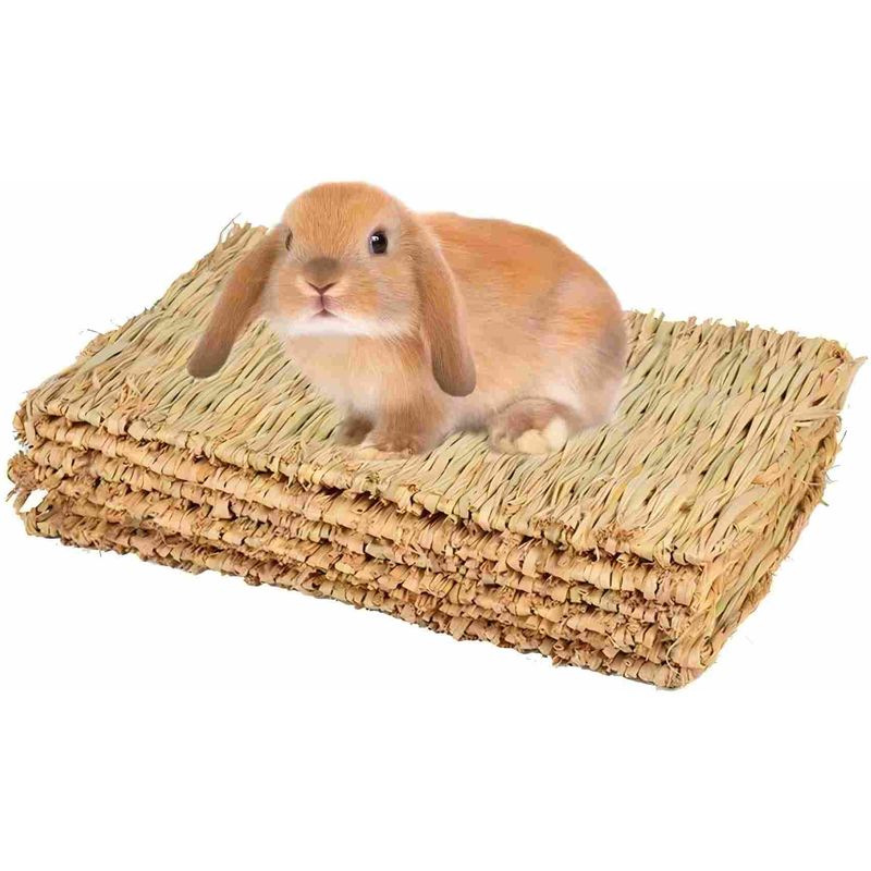 LovuPet 4 pièces Tapis d'herbe pour Les Lapins,Naturel tissé à la Main