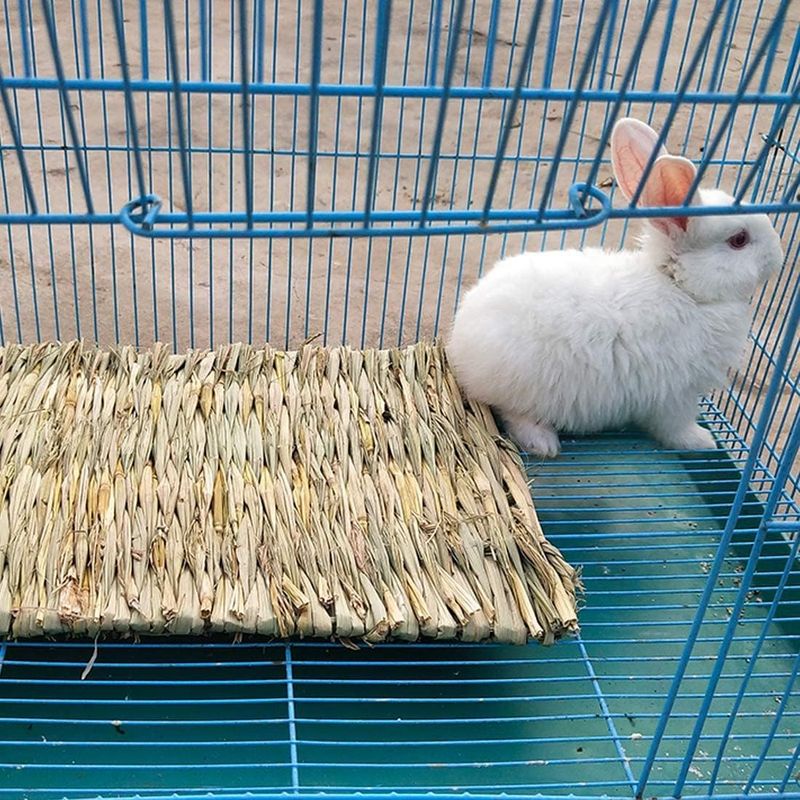 LovuPet 4 pièces Tapis d'herbe pour Les Lapins,Naturel tissé à la Main