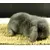 LovuPet 4 pièces Tapis d'herbe pour Les Lapins,Naturel tissé à la Main