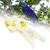 ZENITHMIND Oiseau de Compagnie Mignon Couche-Culotte,xs,5*9CM