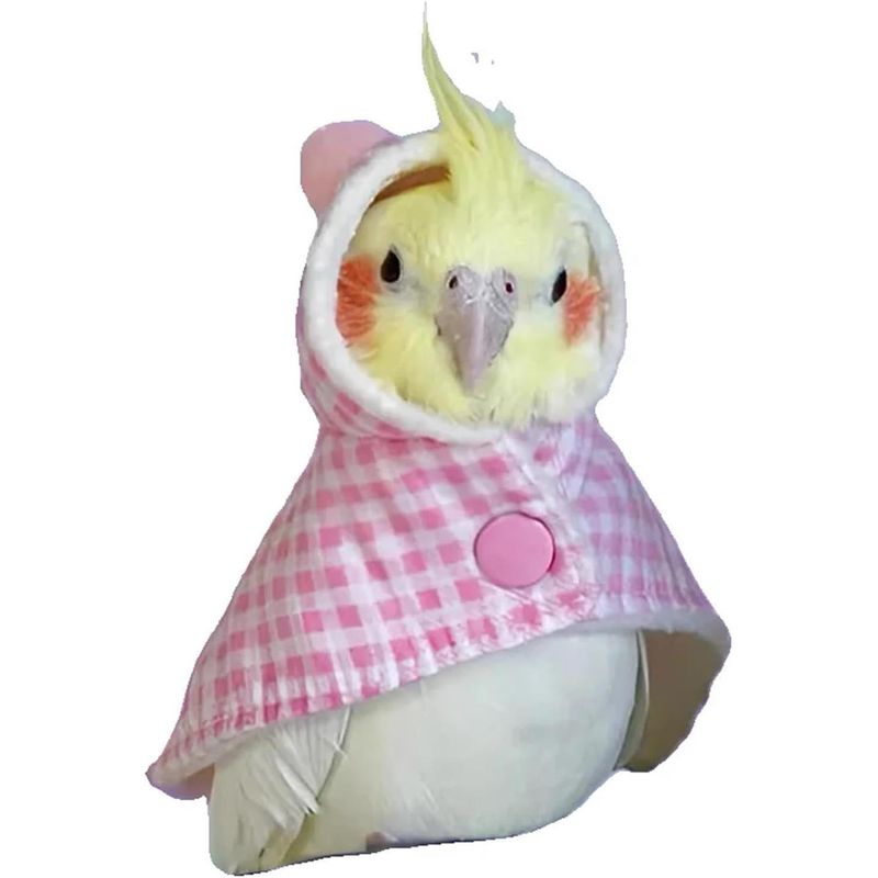 ZENITHMIND Cape for Perroquet for Animaux de Compagnie