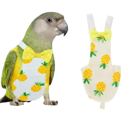 ZENITHMIND Oiseau de Compagnie Mignon Couche-Culotte,S,6*12CM