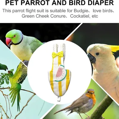 ZENITHMIND Couche imperméable pour perroquet,L,10*20CM