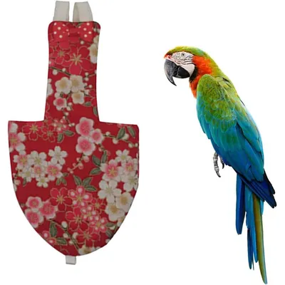 ZENITHMIND Oiseau de Compagnie Mignon Couche-Culotte,L,10*20CM
