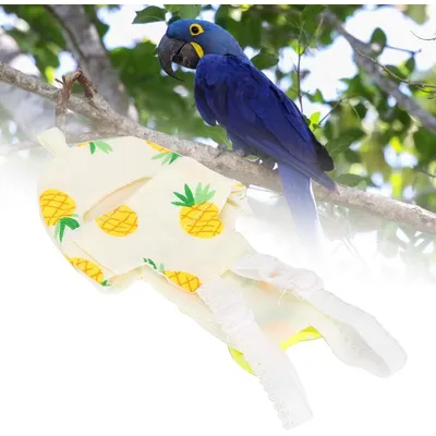 ZENITHMIND Oiseau de Compagnie Mignon Couche-Culotte,L,10*20CM