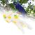 ZENITHMIND Oiseau de Compagnie Mignon Couche-Culotte,L,10*20CM
